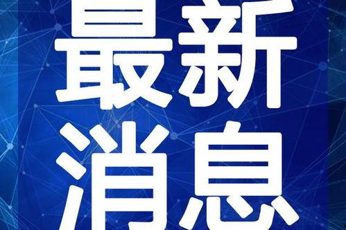 山东实事爆料最新消息视频,视频揭露重大实事真相
